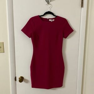NWT Likely Mini Dress